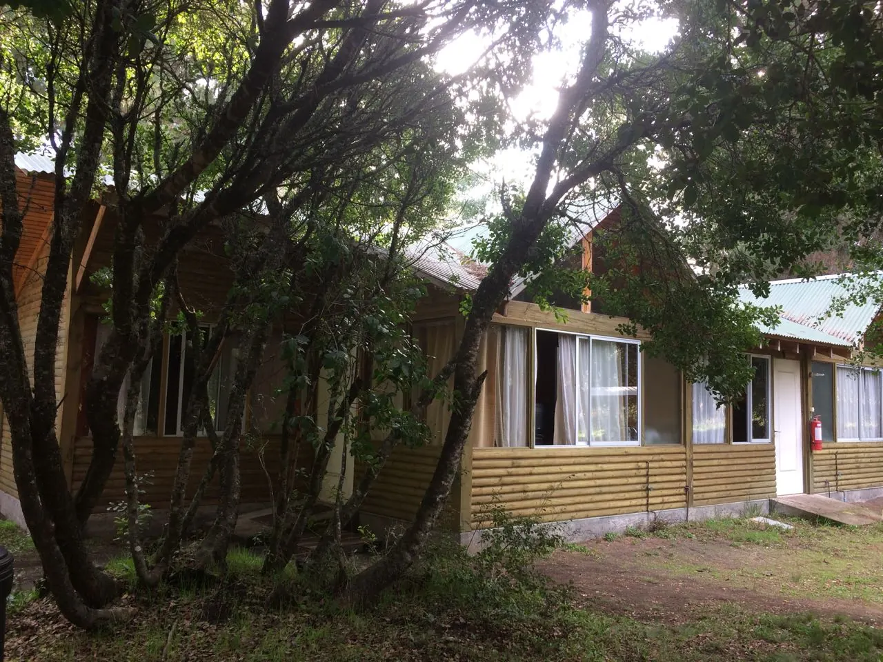 Cabañas Bosque Nativo