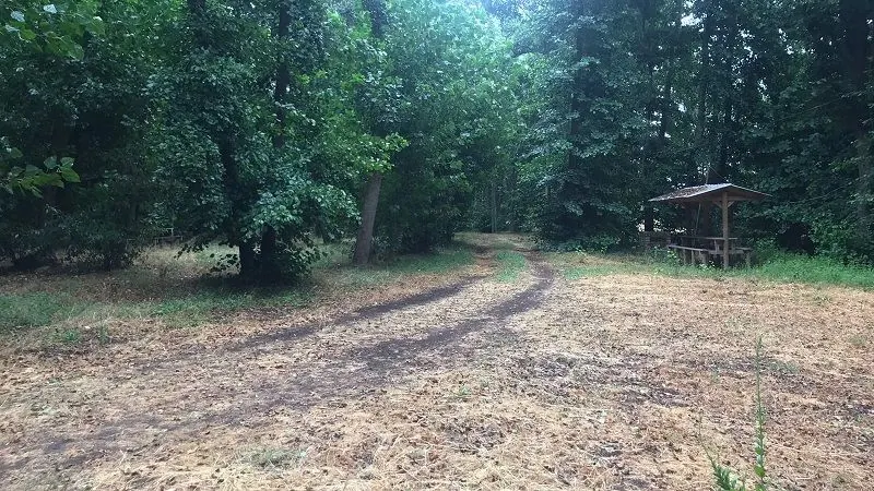 Camping Bosque Nativo, foto 3