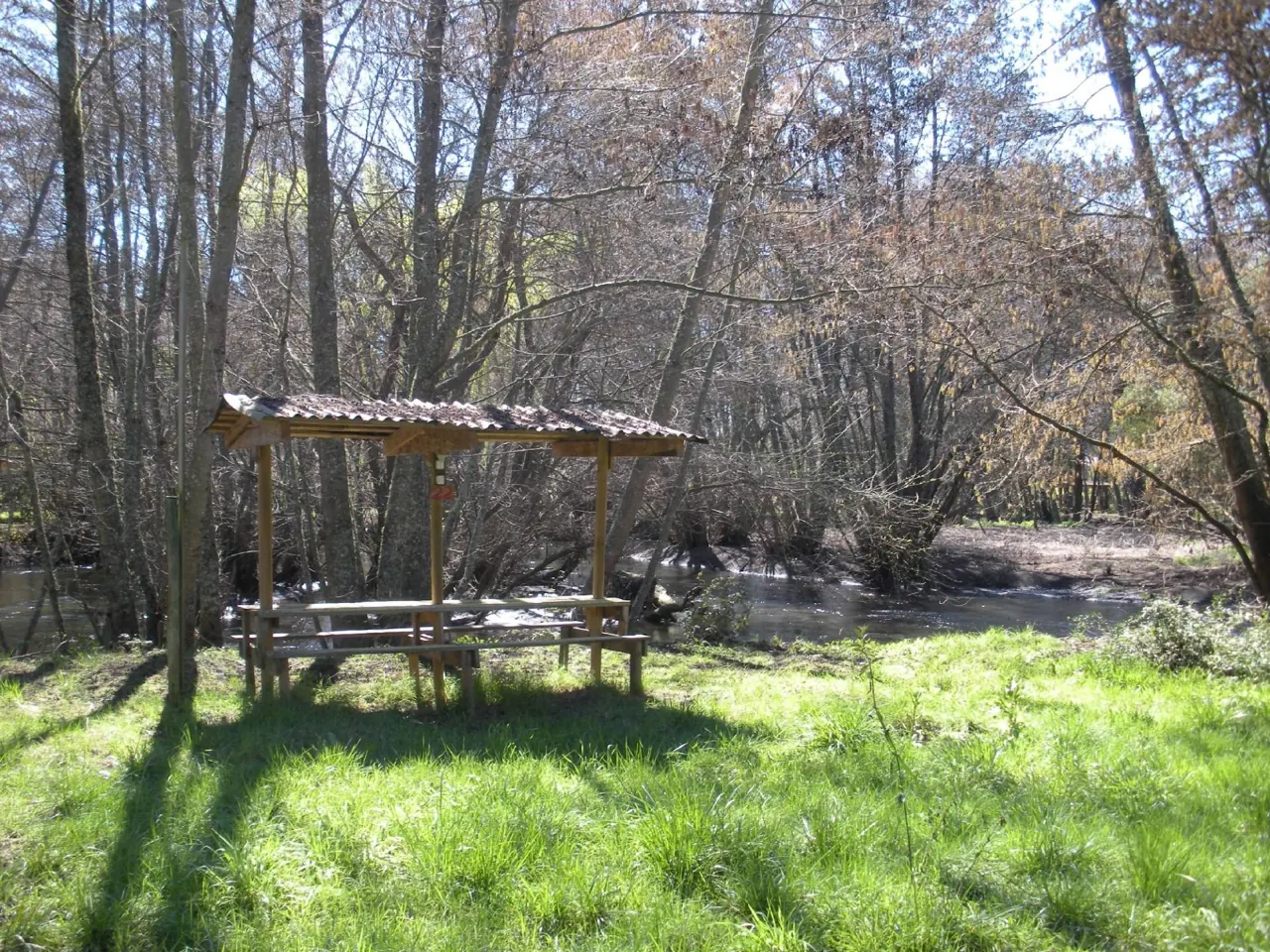 Camping Bosque Nativo, foto 7