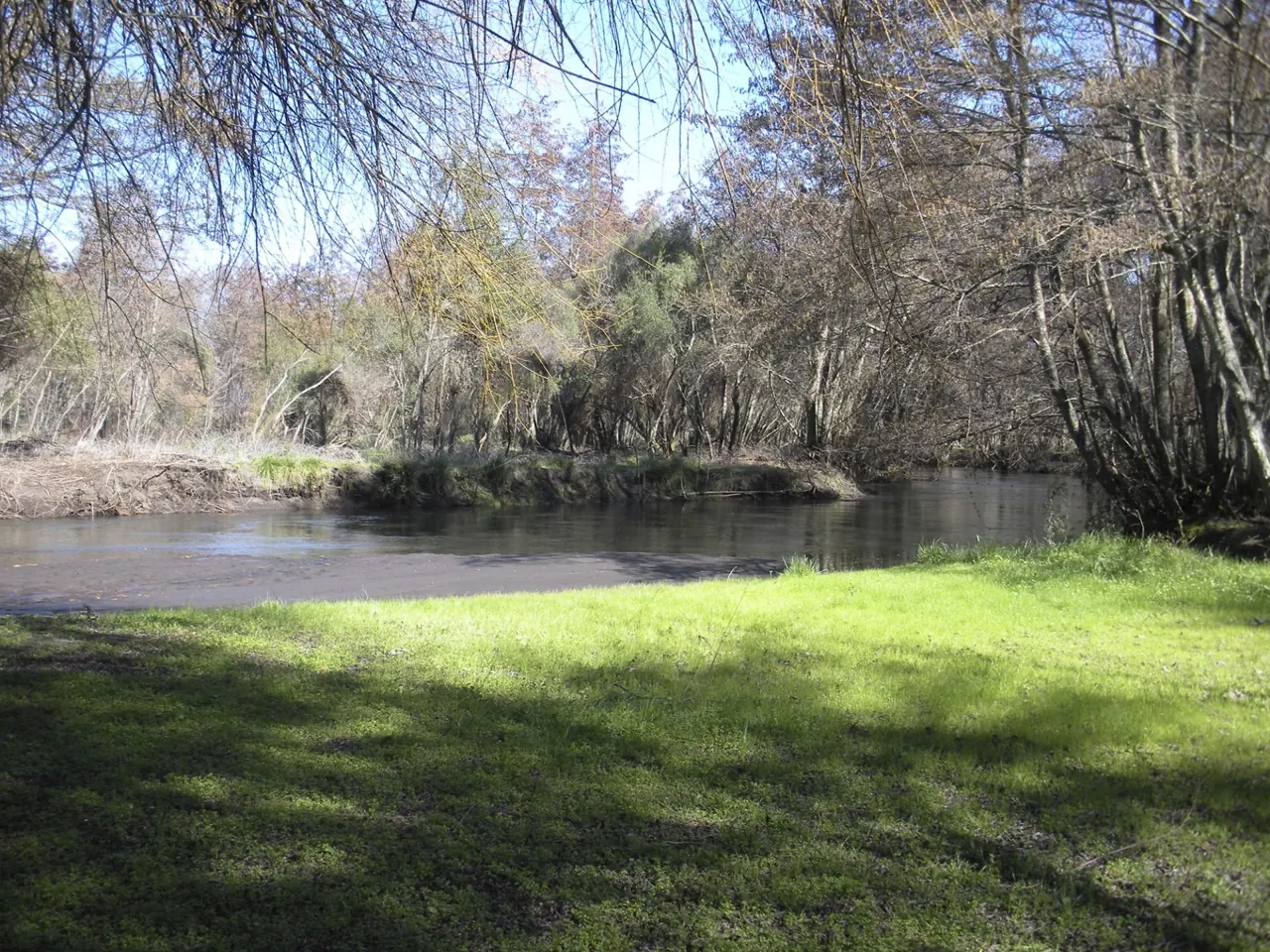Camping Bosque Nativo, foto 8