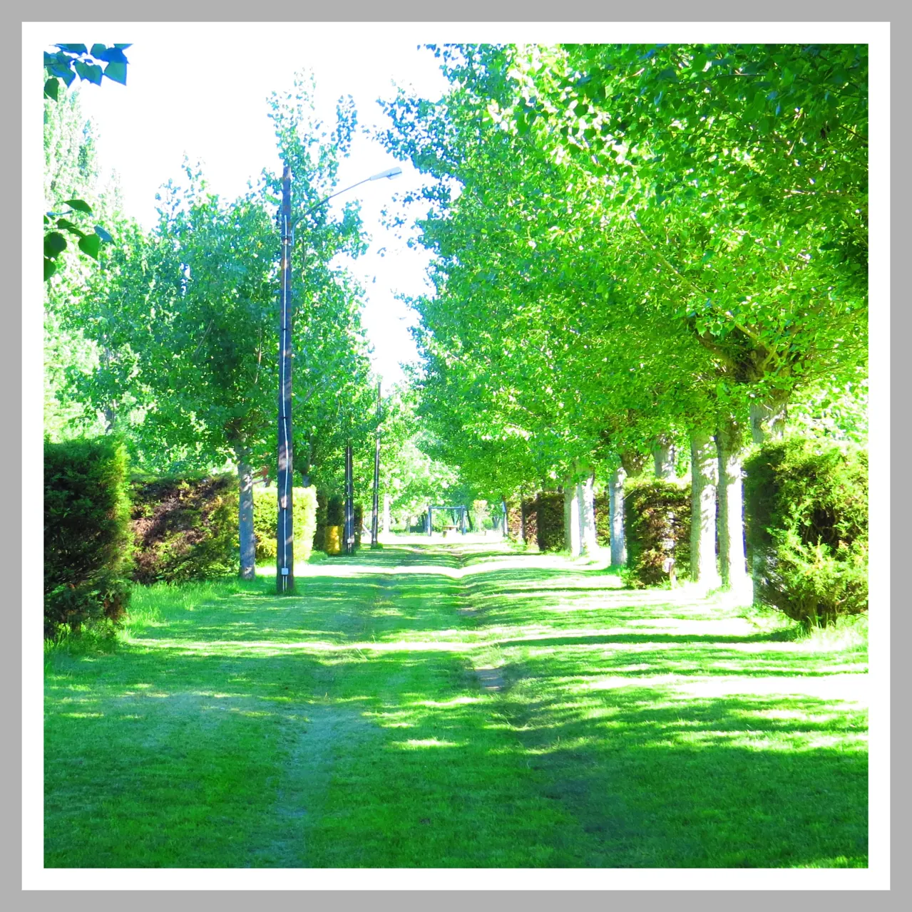 Camping el Girasol