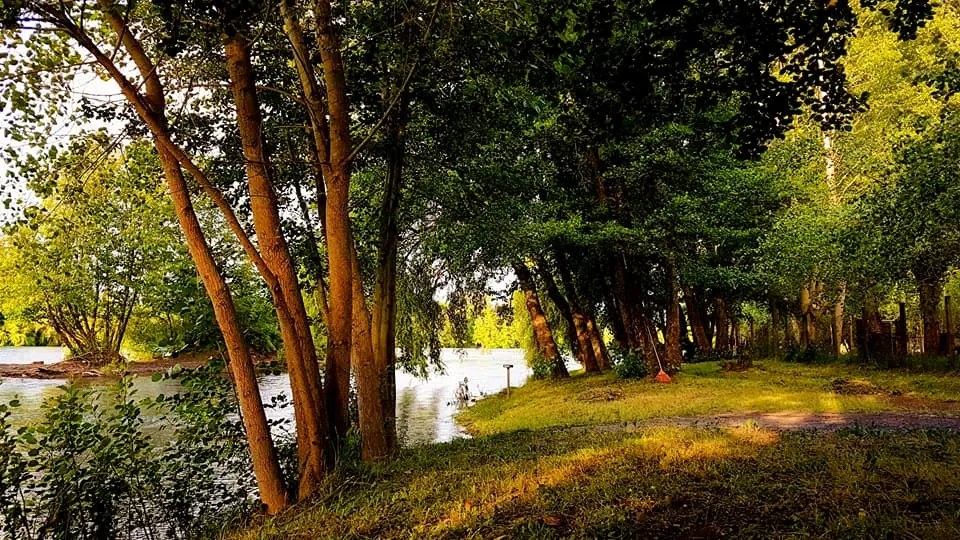 Camping el Girasol, foto 6
