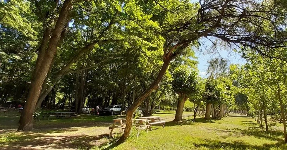Camping La Isla, foto 8